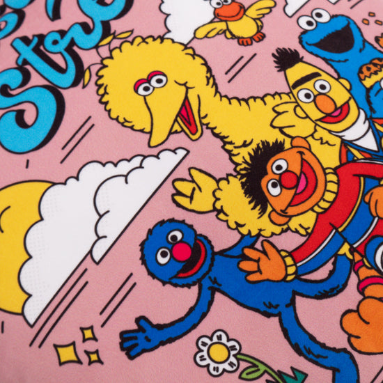 Povlak na Polštář 47 x 47cm - Sesame Street Since 1969 03