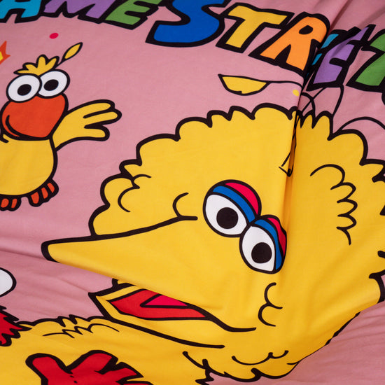 Sedací vak Sloucher, pohovka - Sesame Street 03