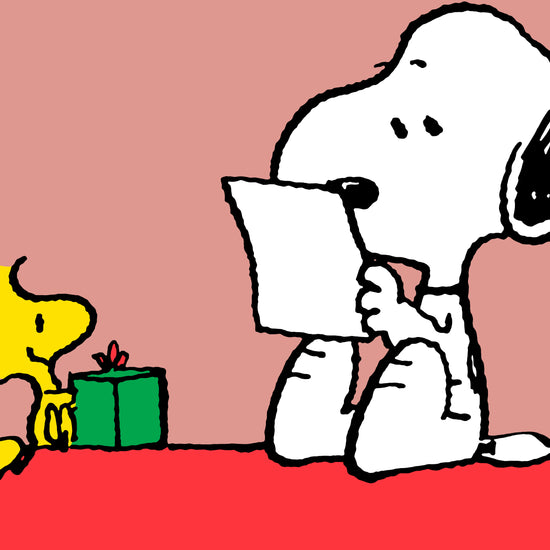 Snoopy Polštář na čtení s vysokou opěrkou zad - Snoopy & Woodstock 03