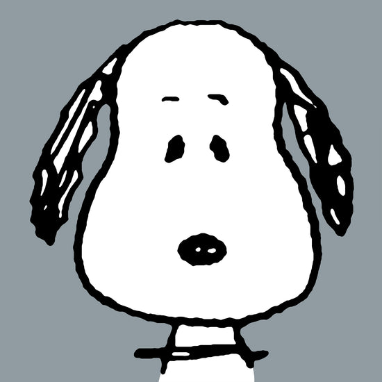 Snoopy Polštář na čtení s vysokou opěrkou zad - Velký Snoopy 03