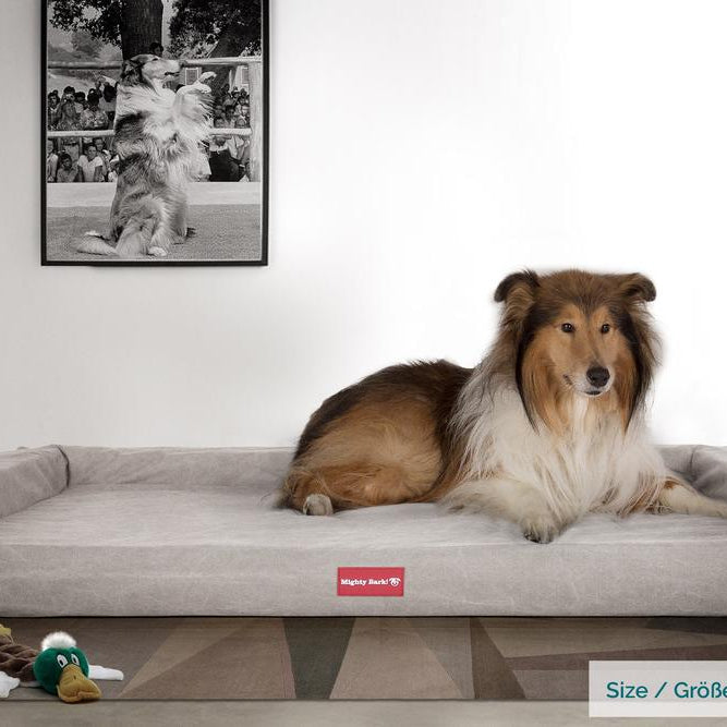Pelíšek ve tvaru lavice, ortopedický pelíšek pro psy z paměťové pěny, velký, střední, XXL - Stonewashed džínovina Cínová