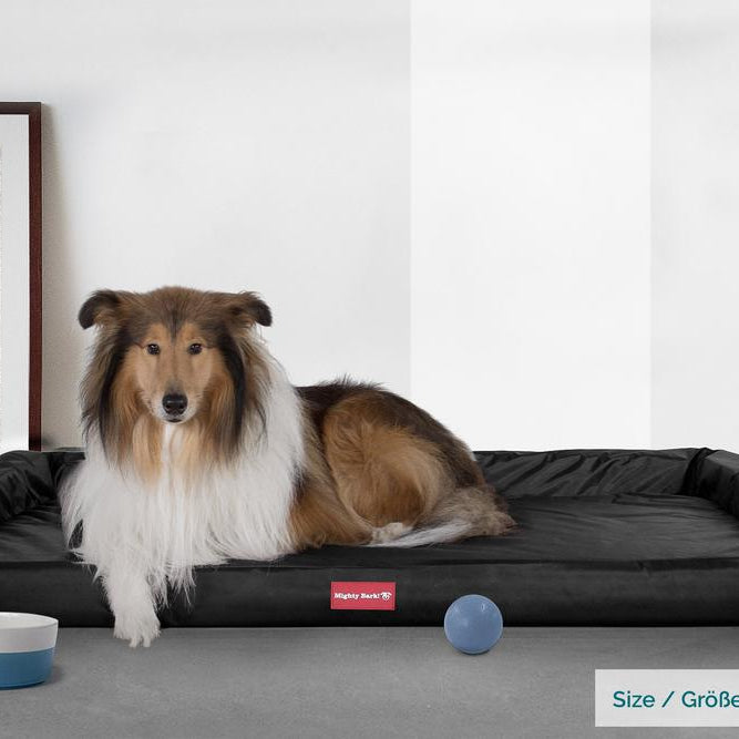 Pelíšek ve tvaru lavice, ortopedický pelíšek pro psy z paměťové pěny, velký, střední, XXL - Voděodolný Černá