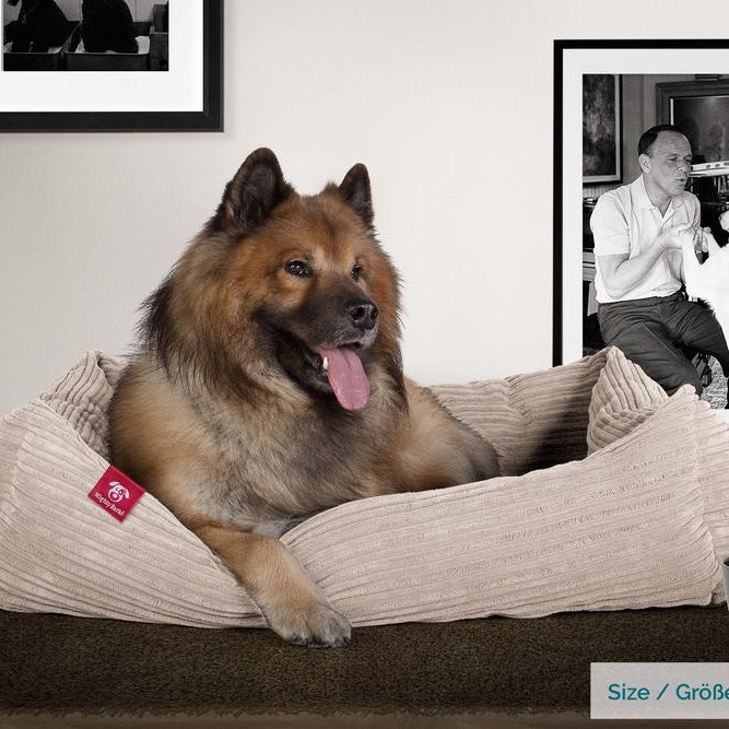 Pelíšek ve tvaru hnízda, ortopedický pelíšek pro psy s okrajem z paměťové pěny, malý, střední, velký - Manšestr Norek